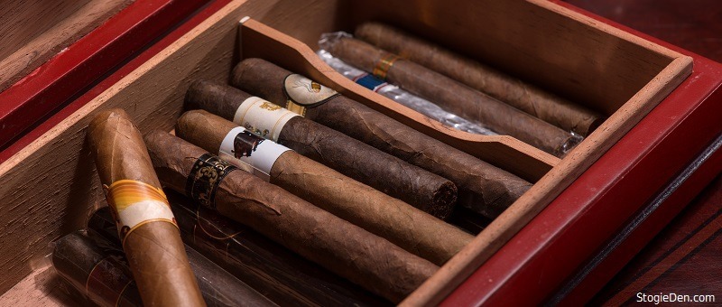 Cigars for beginners